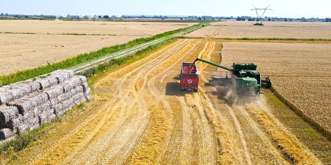 NEU: Landwirtschaftlicher Anhänger Metal-Fach Przyczepa skorupowa tandem T935/1 – 18t: das Bild 6
