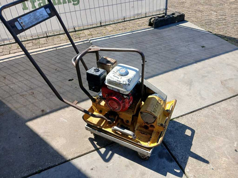 Wacker WPR 1350 - Rüttelplatte: das Bild 1 Wacker WPR 1350 - Rüttelplatte: das Bild 1
