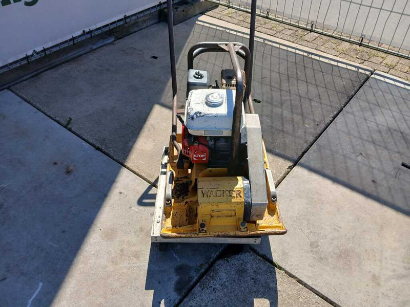 Wacker WPR 1350 - Rüttelplatte: das Bild 5 Wacker WPR 1350 - Rüttelplatte: das Bild 5
