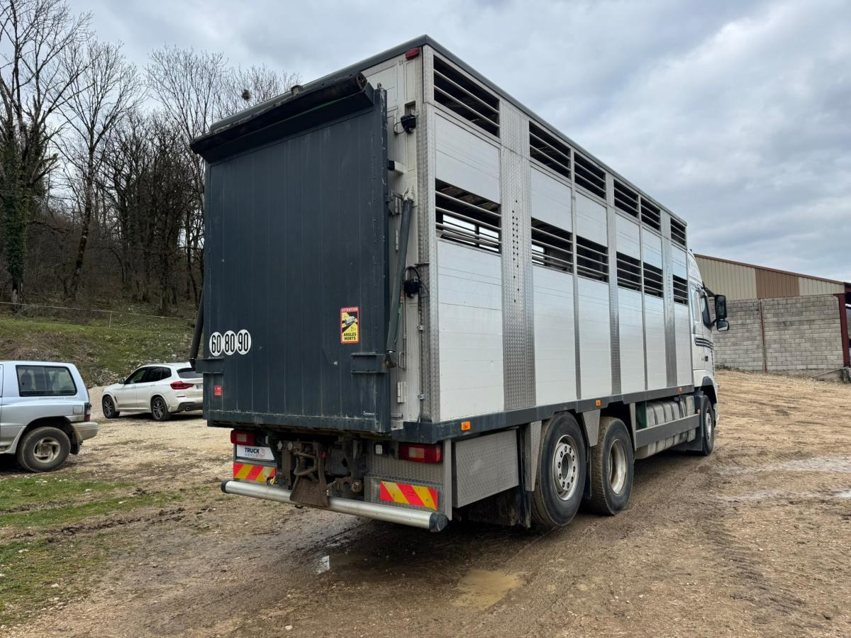 Volvo FH 540 - Tiertransporter LKW: das Bild 5 Volvo FH 540 - Tiertransporter LKW: das Bild 5