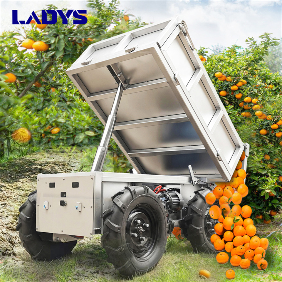 LADYS Electric Remote Control Transporter Agricultural Orchard Farm Electric Utv Dump Trailer Material Handling Equipment All Terrain Transport Vehicle - Quad: das Bild 5 LADYS Electric Remote Control Transporter Agricultural Orchard Farm Electric Utv Dump Trailer Material Handling Equipment All Terrain Transport Vehicle - Quad: das Bild 5