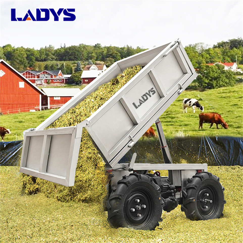 LADYS Electric Remote Control Transporter Agricultural Orchard Farm Electric Utv Dump Trailer Material Handling Equipment All Terrain Transport Vehicle - Quad: das Bild 2 LADYS Electric Remote Control Transporter Agricultural Orchard Farm Electric Utv Dump Trailer Material Handling Equipment All Terrain Transport Vehicle - Quad: das Bild 2