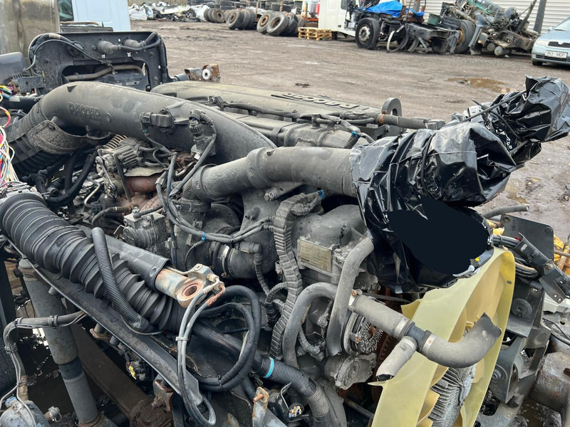 DAF MX13 375 H1 - Motor: das Bild 1 DAF MX13 375 H1 - Motor: das Bild 1