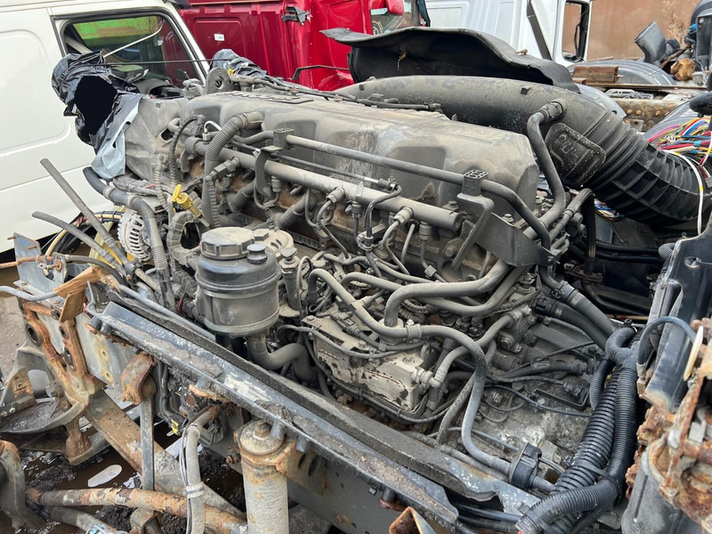 DAF MX13 375 H1 - Motor: das Bild 4 DAF MX13 375 H1 - Motor: das Bild 4