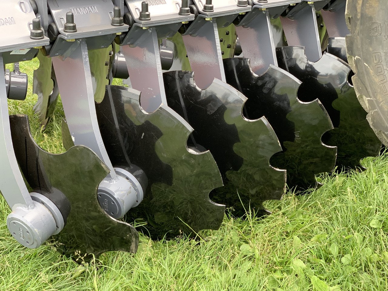 MANDAM Déchaumeur à disques GAL-TAL - Scheibenegge: das Bild 2 MANDAM Déchaumeur à disques GAL-TAL - Scheibenegge: das Bild 2