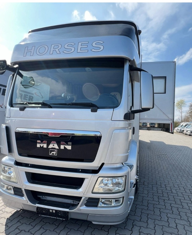 MAN 26.480 5 pferde - Pferdetransporter: das Bild 3 MAN 26.480 5 pferde - Pferdetransporter: das Bild 3