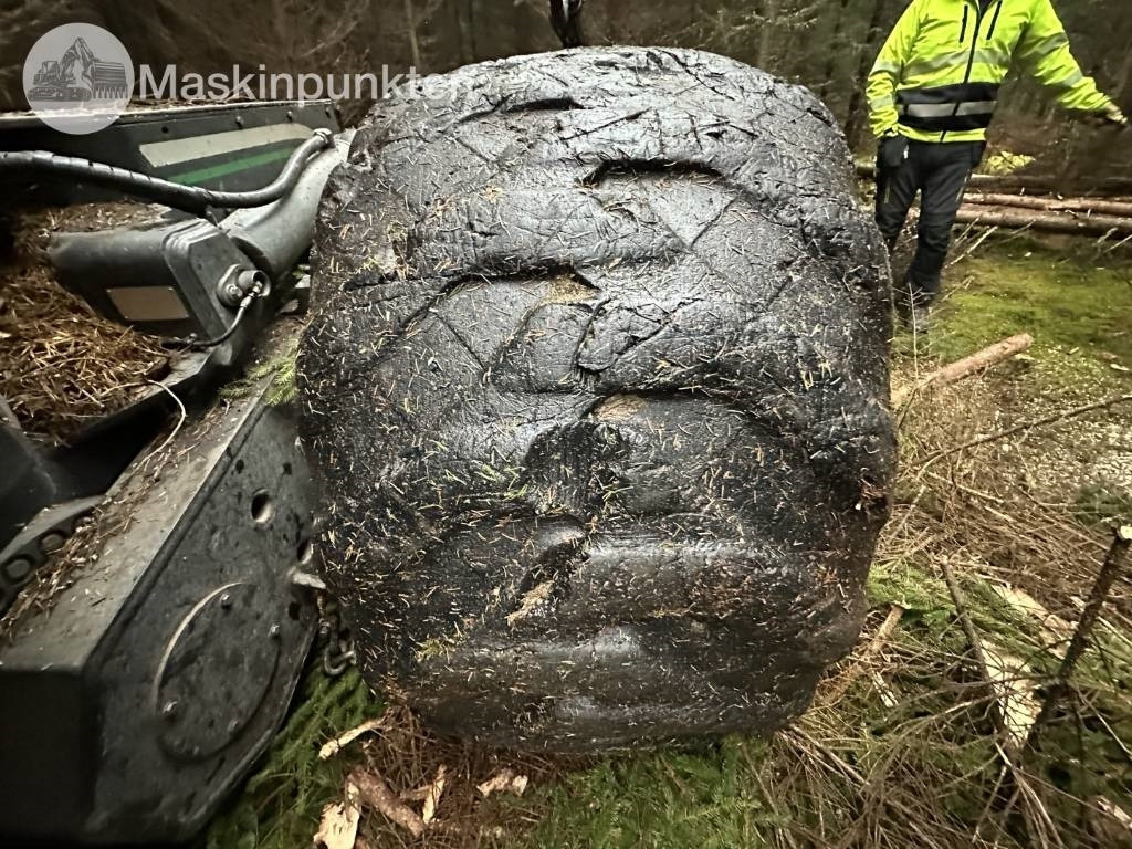 Harvester Eco Log 560 E: das Bild 30