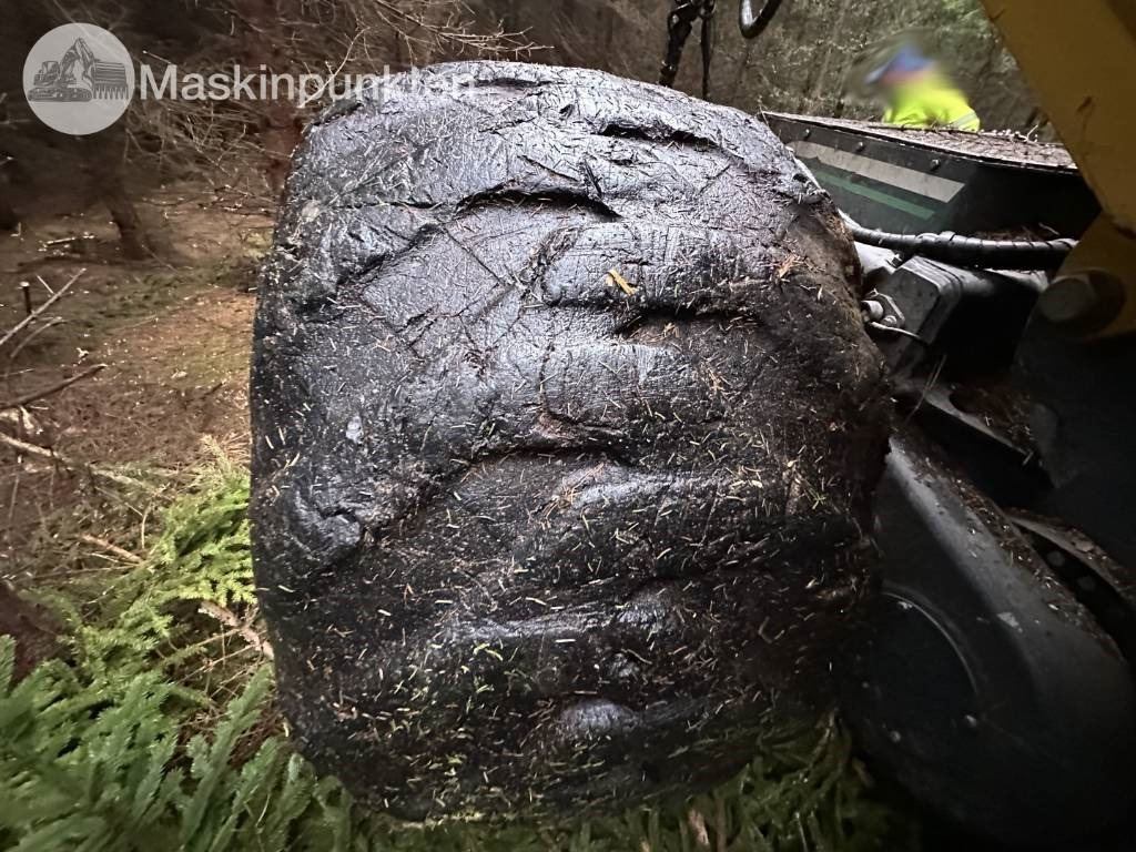 Harvester Eco Log 560 E: das Bild 36