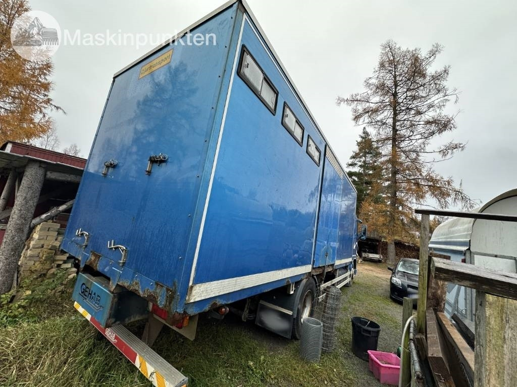 Volvo FH 12 - Tiertransporter LKW: das Bild 4 Volvo FH 12 - Tiertransporter LKW: das Bild 4