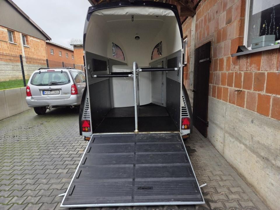 Böckmann Pferdeanhänger Champion R SaKa. WCF-Fahrwerk 100 km/h - Pferdeanhänger: das Bild 4 Böckmann Pferdeanhänger Champion R SaKa. WCF-Fahrwerk 100 km/h - Pferdeanhänger: das Bild 4