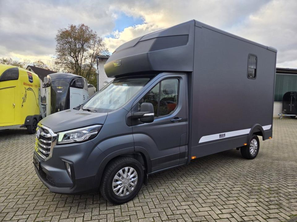 MSG Stablehopper Pferdetransporter Pferdeanhänger Böckmann - Pferdetransporter: das Bild 1 MSG Stablehopper Pferdetransporter Pferdeanhänger Böckmann - Pferdetransporter: das Bild 1