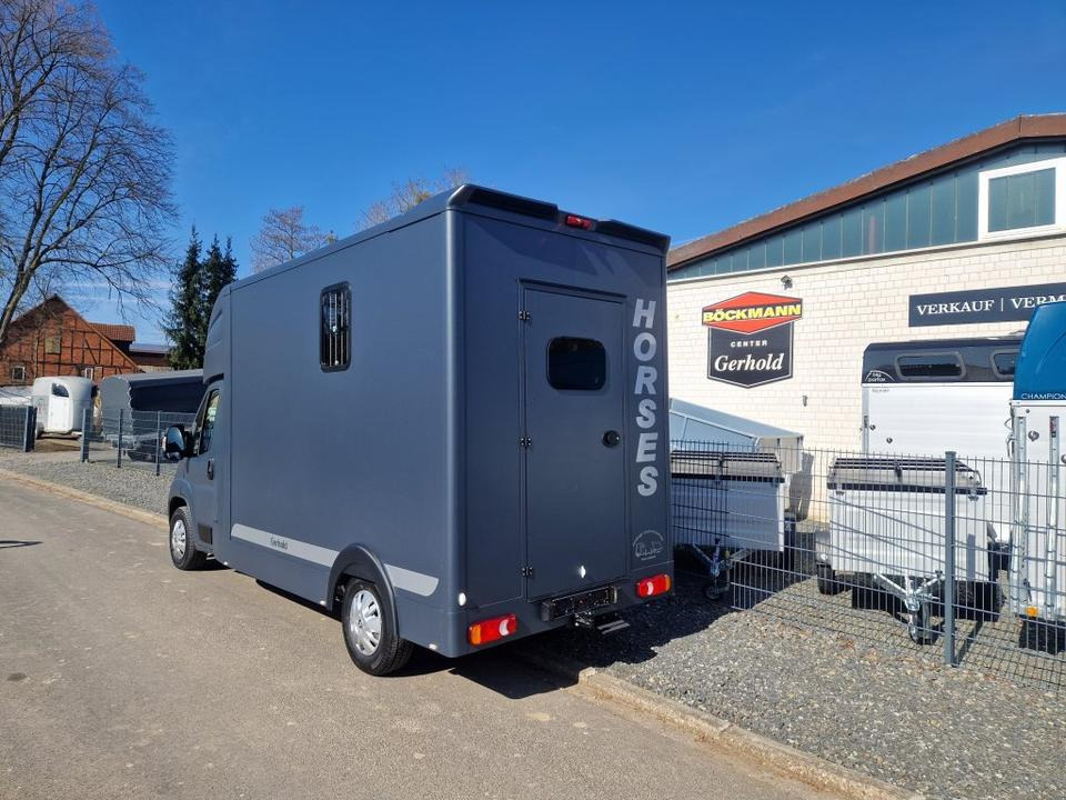 MSG Stablehopper Pferdetransporter Pferdeanhänger Böckmann - Pferdetransporter: das Bild 4 MSG Stablehopper Pferdetransporter Pferdeanhänger Böckmann - Pferdetransporter: das Bild 4