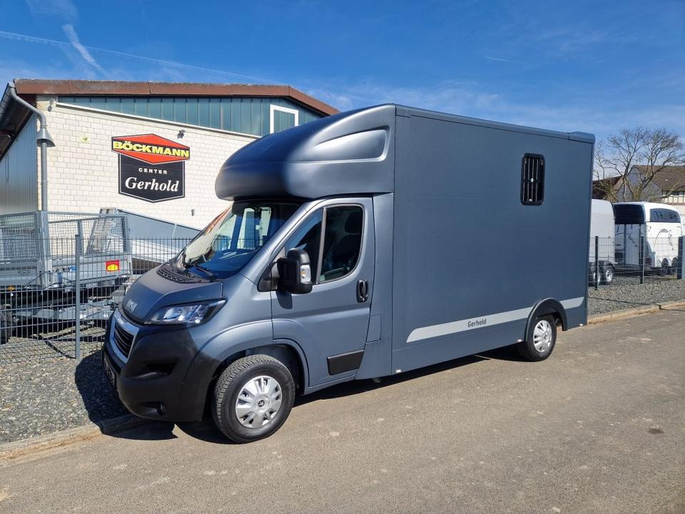 MSG Stablehopper Pferdetransporter Pferdeanhänger Böckmann - Pferdetransporter: das Bild 2 MSG Stablehopper Pferdetransporter Pferdeanhänger Böckmann - Pferdetransporter: das Bild 2