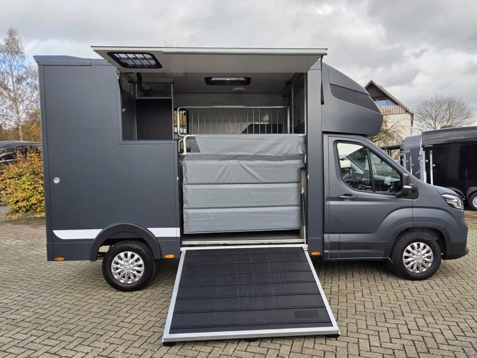 MSG Stablehopper Pferdetransporter Pferdeanhänger Böckmann - Pferdetransporter: das Bild 3 MSG Stablehopper Pferdetransporter Pferdeanhänger Böckmann - Pferdetransporter: das Bild 3