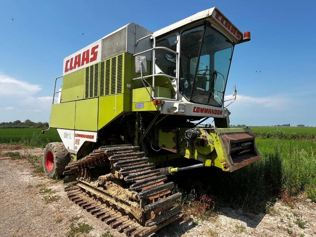 Claas COMMANDOR 116 CS RISO - Mähdrescher: das Bild 1 Claas COMMANDOR 116 CS RISO - Mähdrescher: das Bild 1
