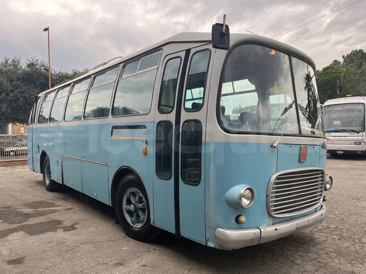 Fiat 309/1 - Reisebus: das Bild 1 Fiat 309/1 - Reisebus: das Bild 1