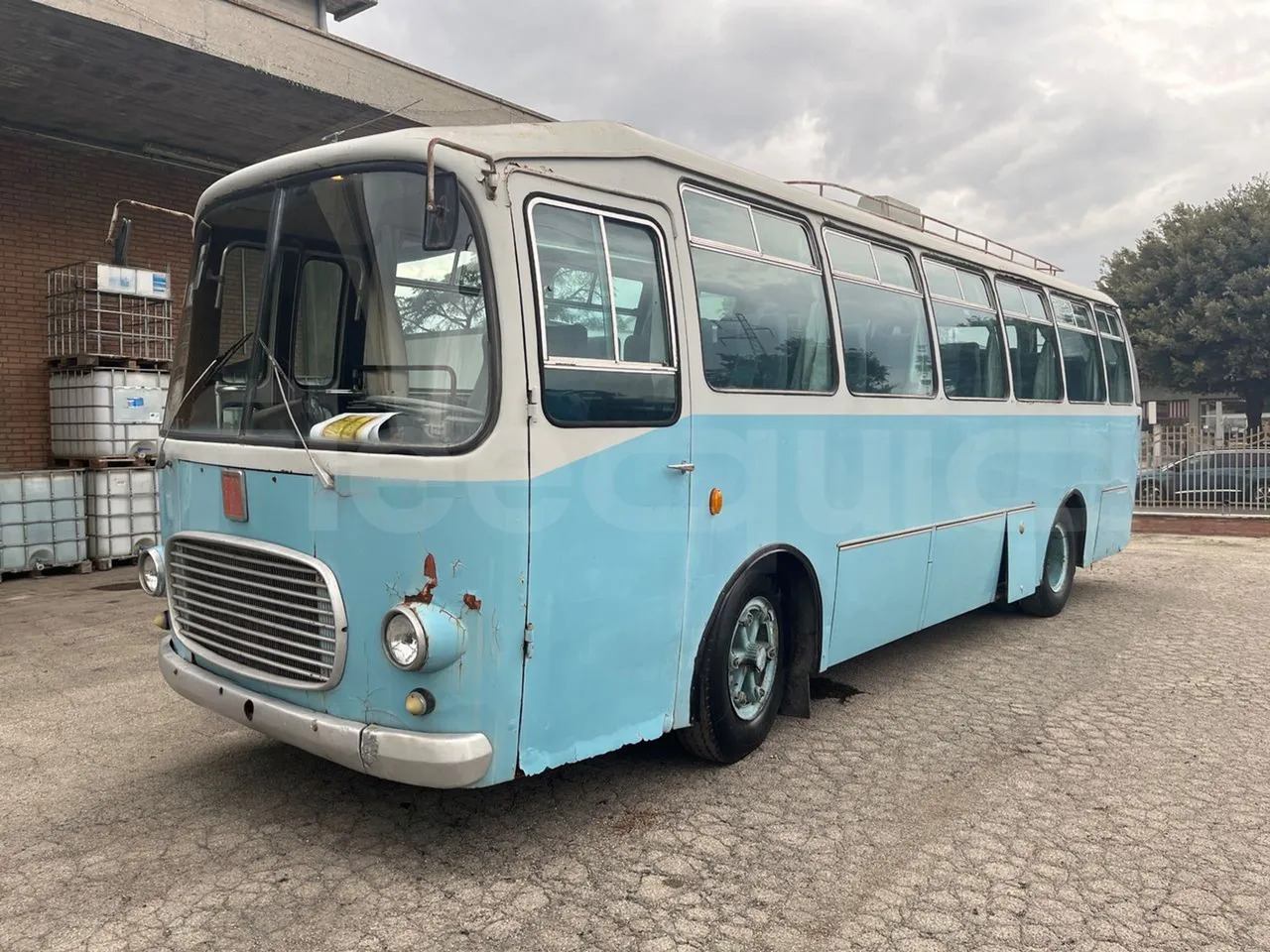 Fiat 309/1 - Reisebus: das Bild 4 Fiat 309/1 - Reisebus: das Bild 4