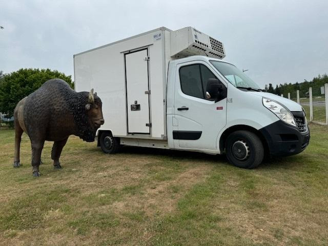 Renault Master - Kühltransporter: das Bild 5 Renault Master - Kühltransporter: das Bild 5