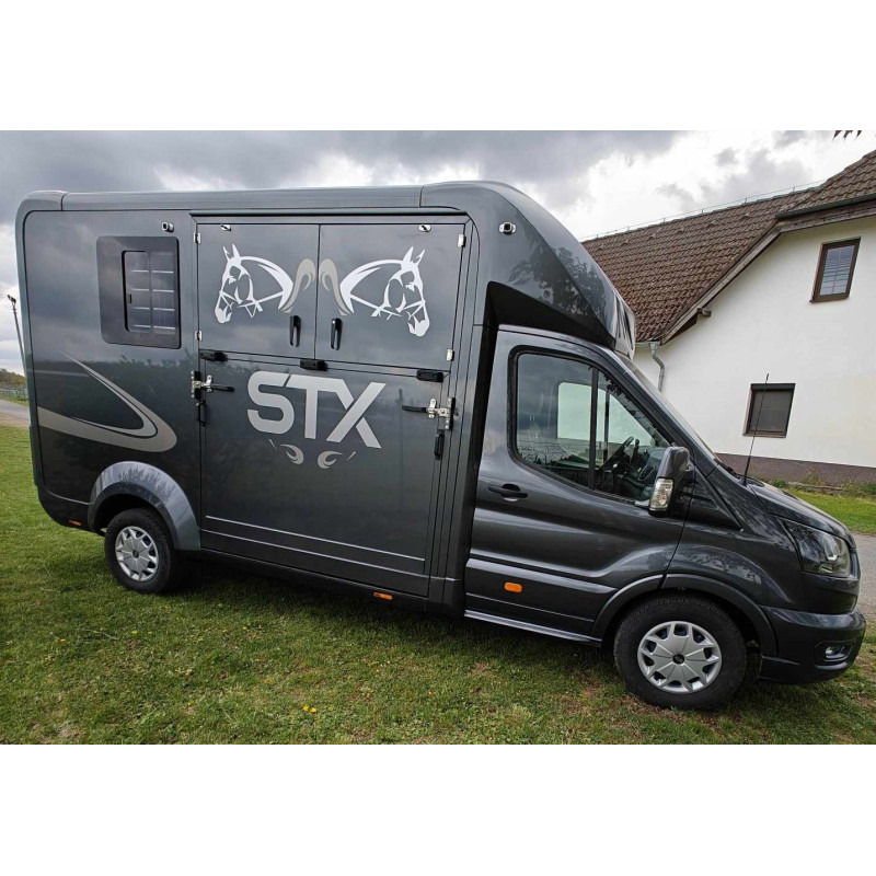 STX Ford Transit by Stephex - Pferdetransporter: das Bild 3 STX Ford Transit by Stephex - Pferdetransporter: das Bild 3