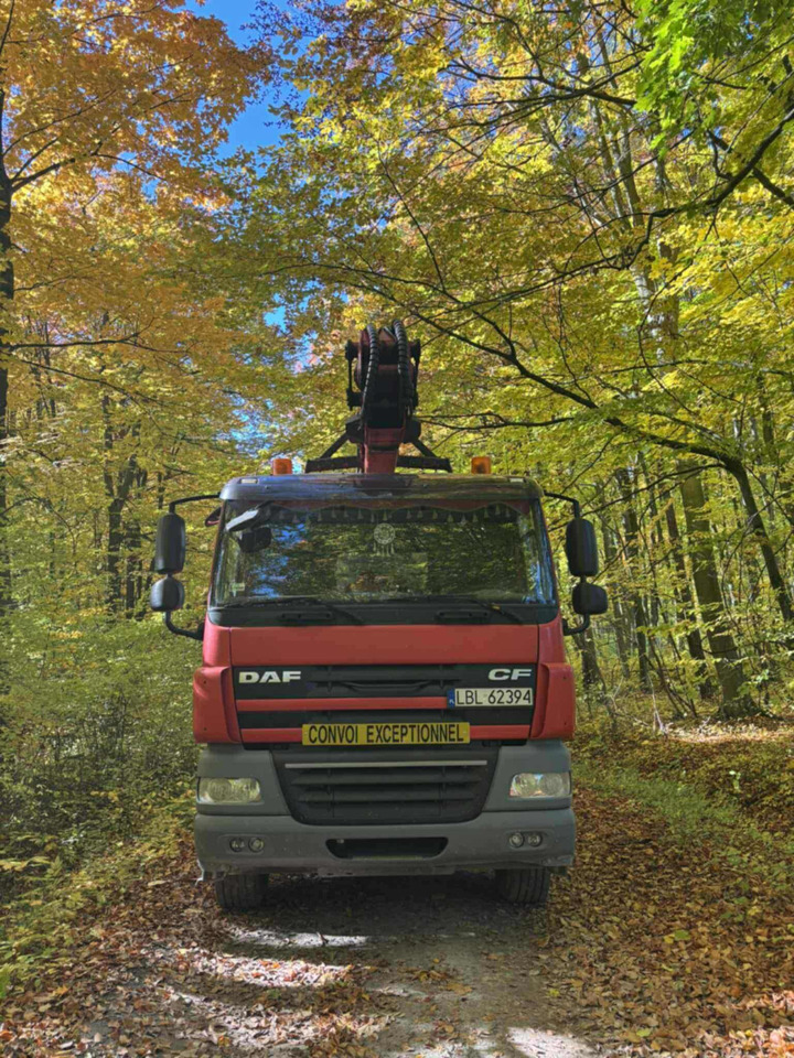 DAF CF510 - Holztransporter, Autokran: das Bild 4 DAF CF510 - Holztransporter, Autokran: das Bild 4