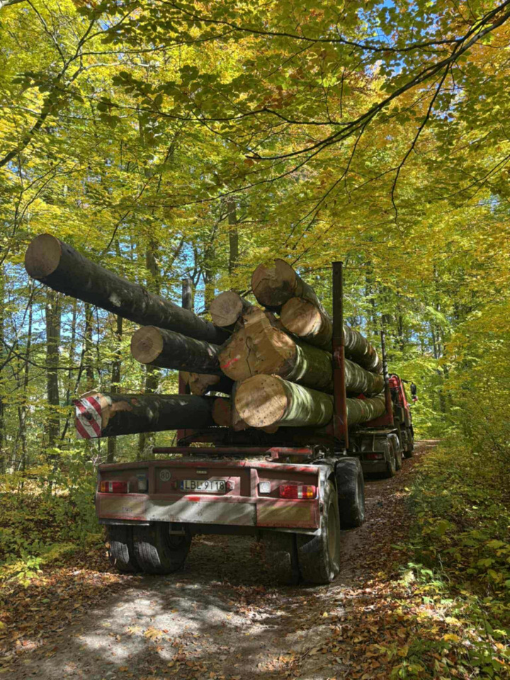 DAF CF510 - Holztransporter, Autokran: das Bild 3 DAF CF510 - Holztransporter, Autokran: das Bild 3