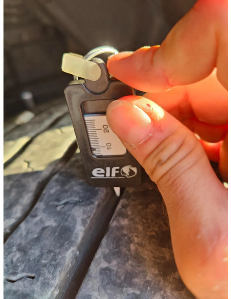 Pritsche LKW, Autokran MAN TGM 18.250 Open box + HIAB 166-3: das Bild 20