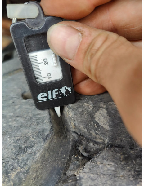 Abrollkipper Steyr 19S31 19S32 Container Marrel: das Bild 17 Abrollkipper Steyr 19S31 19S32 Container Marrel: das Bild 17