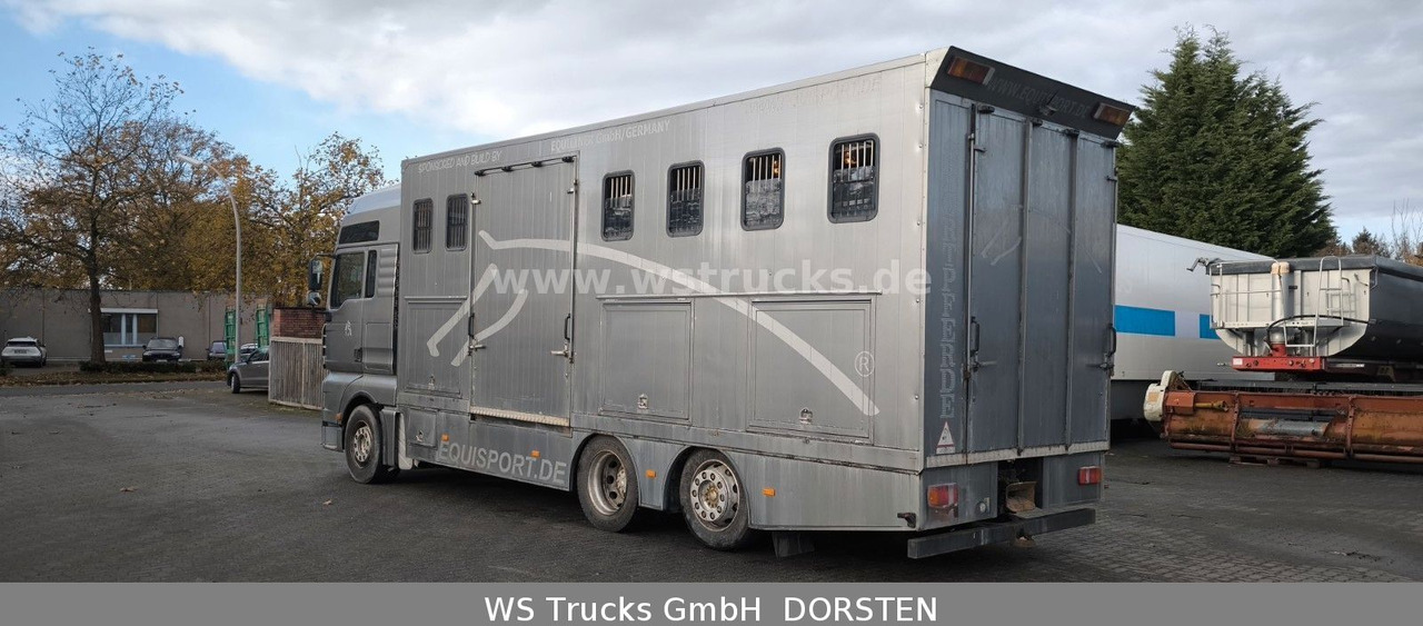 MAN TGA 26.480 FG 6x2 Pferdetransporter Luft/Luft - Pferdetransporter: das Bild 5 MAN TGA 26.480 FG 6x2 Pferdetransporter Luft/Luft - Pferdetransporter: das Bild 5