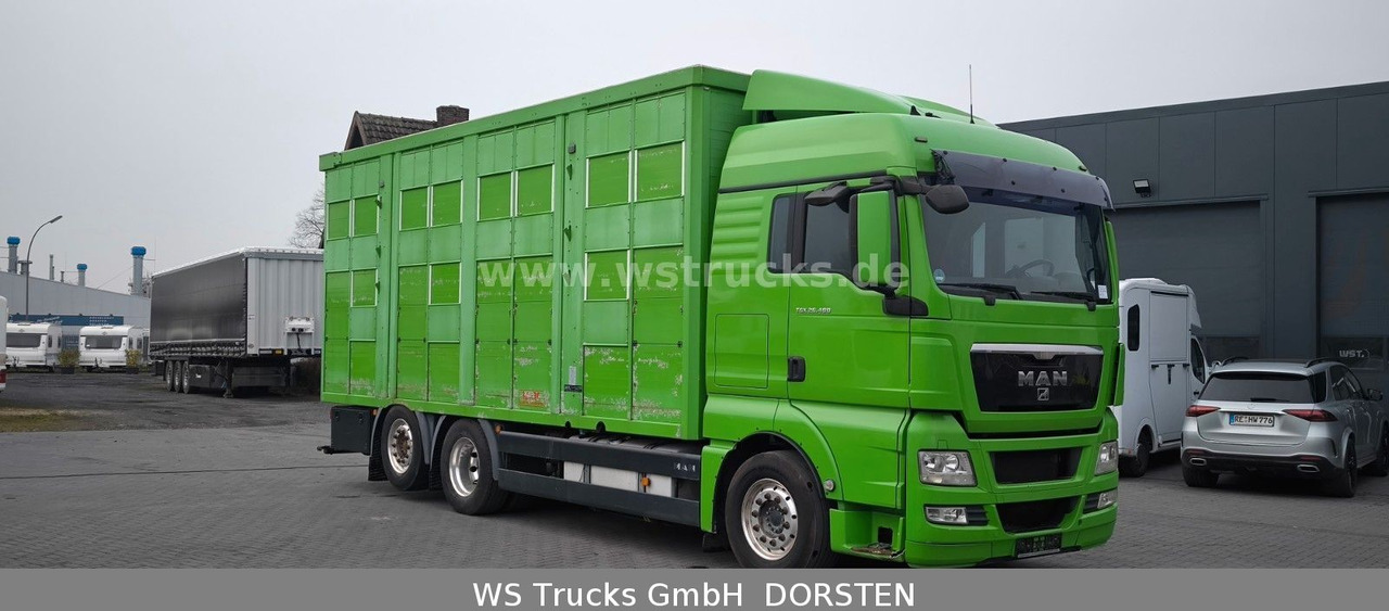 MAN TGX 26.480 XL KABA 3 Stock Viehtransporter - Pferdetransporter: das Bild 3 MAN TGX 26.480 XL KABA 3 Stock Viehtransporter - Pferdetransporter: das Bild 3