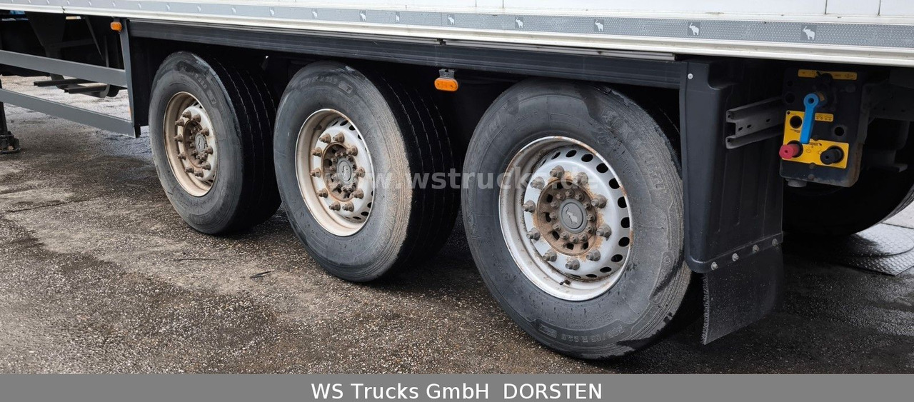 Koffer Auflieger Schmitz Cargobull SKO 24 Kühlauflieger Vector 1550 Strom/Diesel: das Bild 13
