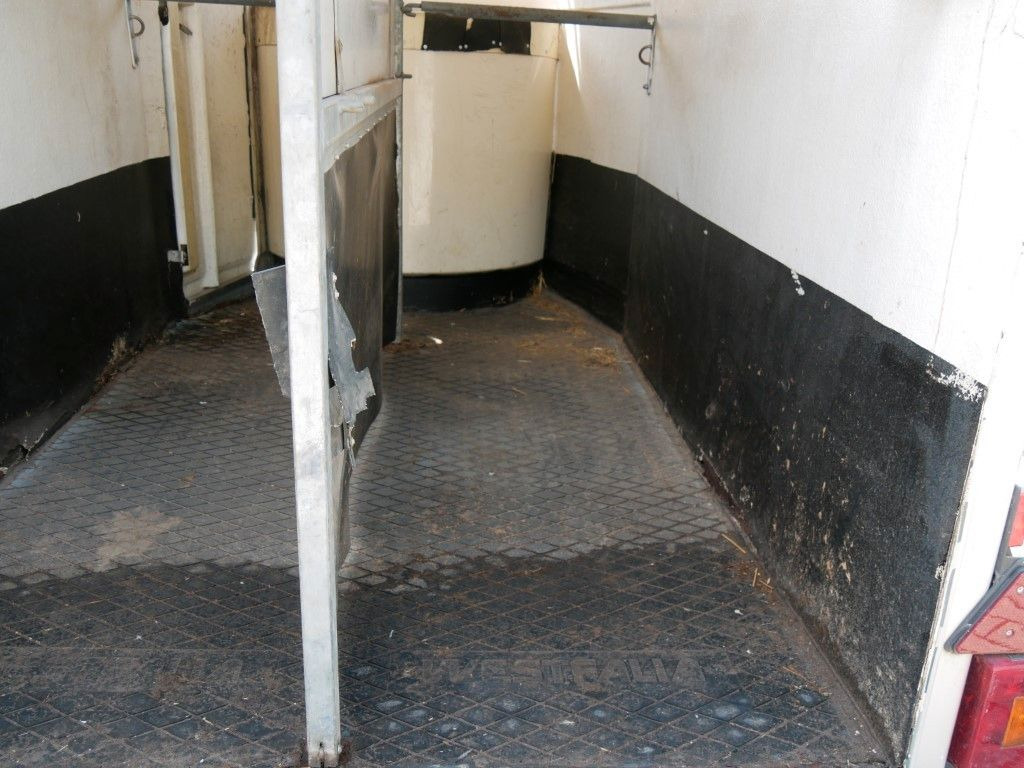 Westfalia Vollpoly 2 Pferde mit Sattelkammer - Pferdeanhänger: das Bild 5 Westfalia Vollpoly 2 Pferde mit Sattelkammer - Pferdeanhänger: das Bild 5