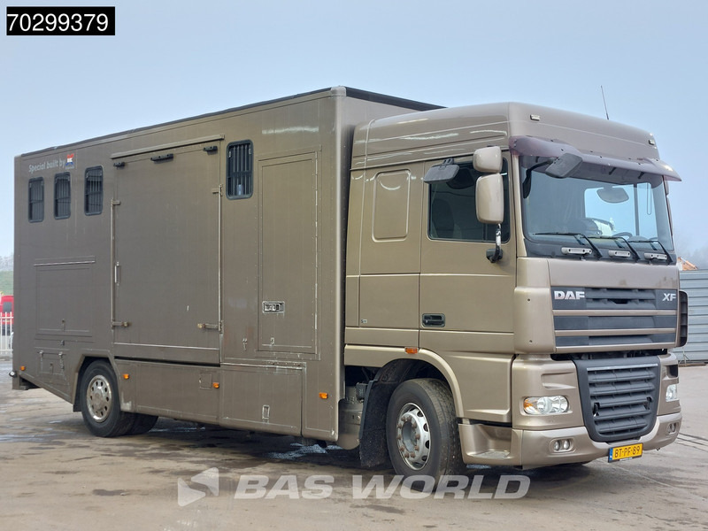 DAF XF105.410 XF 4X2 NL-Truck JK Horsetruck 6 Horses Pferdentransport Manual Euro 5 - Pferdetransporter: das Bild 3 DAF XF105.410 XF 4X2 NL-Truck JK Horsetruck 6 Horses Pferdentransport Manual Euro 5 - Pferdetransporter: das Bild 3