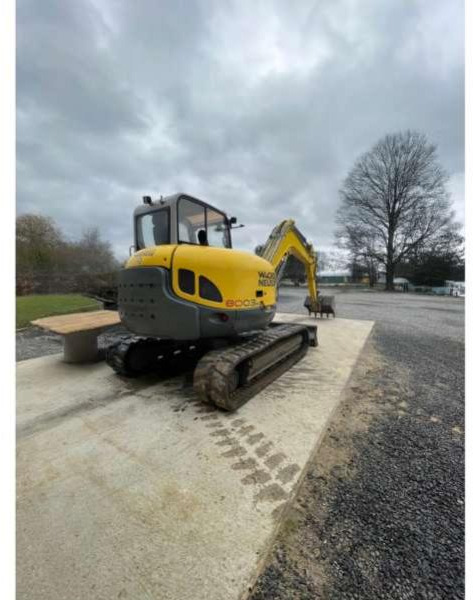Wacker Neuson 8003 - Kettenbagger: das Bild 1 Wacker Neuson 8003 - Kettenbagger: das Bild 1
