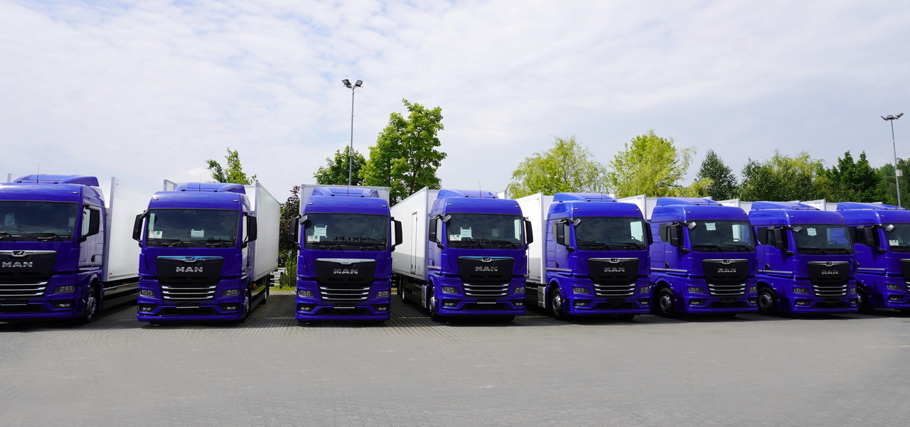 MAN New MAN TGX 26.400 / NEW IGLOOCAR refrigerator 23 pallets / 6×2 / 2024 / 10 units - Isotherm LKW: das Bild 3 MAN New MAN TGX 26.400 / NEW IGLOOCAR refrigerator 23 pallets / 6×2 / 2024 / 10 units - Isotherm LKW: das Bild 3