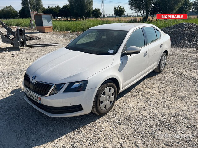 2019 Skoda Octavia (Inoperable) Automobile - PKW: das Bild 1 2019 Skoda Octavia (Inoperable) Automobile - PKW: das Bild 1