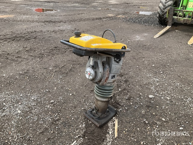 2021 Wacker Neuson BS60-2I Jumping Jack Tamper - Stampfer: das Bild 4 2021 Wacker Neuson BS60-2I Jumping Jack Tamper - Stampfer: das Bild 4