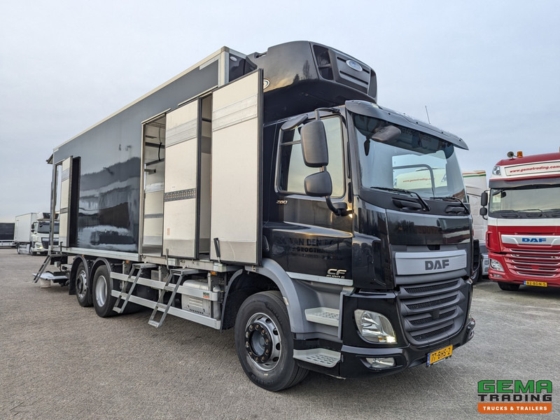 DAF CF 280 FAN 6x2/4 DagCab Euro6 - Koel-VriesBak 7.9m + Carrier Supra 1150MT + Laadklep 2000kg - 10/2025APK - Kühlkoffer LKW: das Bild 3 DAF CF 280 FAN 6x2/4 DagCab Euro6 - Koel-VriesBak 7.9m + Carrier Supra 1150MT + Laadklep 2000kg - 10/2025APK - Kühlkoffer LKW: das Bild 3