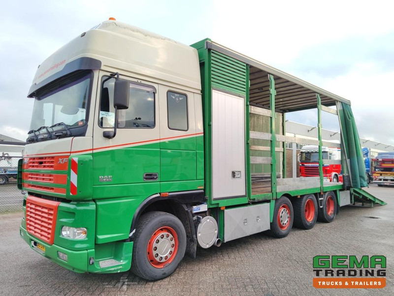 DAF FAK XF95.430 8x2 SuperSpaceCab Euro3 - CurtainSider 7.31m + Ramp 16T - MachineTransporter - 6 Persons (V558) - Autotransporter LKW: das Bild 1 DAF FAK XF95.430 8x2 SuperSpaceCab Euro3 - CurtainSider 7.31m + Ramp 16T - MachineTransporter - 6 Persons (V558) - Autotransporter LKW: das Bild 1