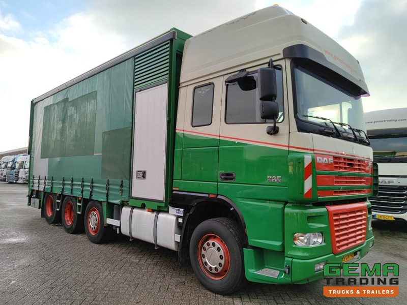 DAF FAK XF95.430 8x2 SuperSpaceCab Euro3 - CurtainSider 7.31m + Ramp 16T - MachineTransporter - 6 Persons (V558) - Autotransporter LKW: das Bild 3 DAF FAK XF95.430 8x2 SuperSpaceCab Euro3 - CurtainSider 7.31m + Ramp 16T - MachineTransporter - 6 Persons (V558) - Autotransporter LKW: das Bild 3