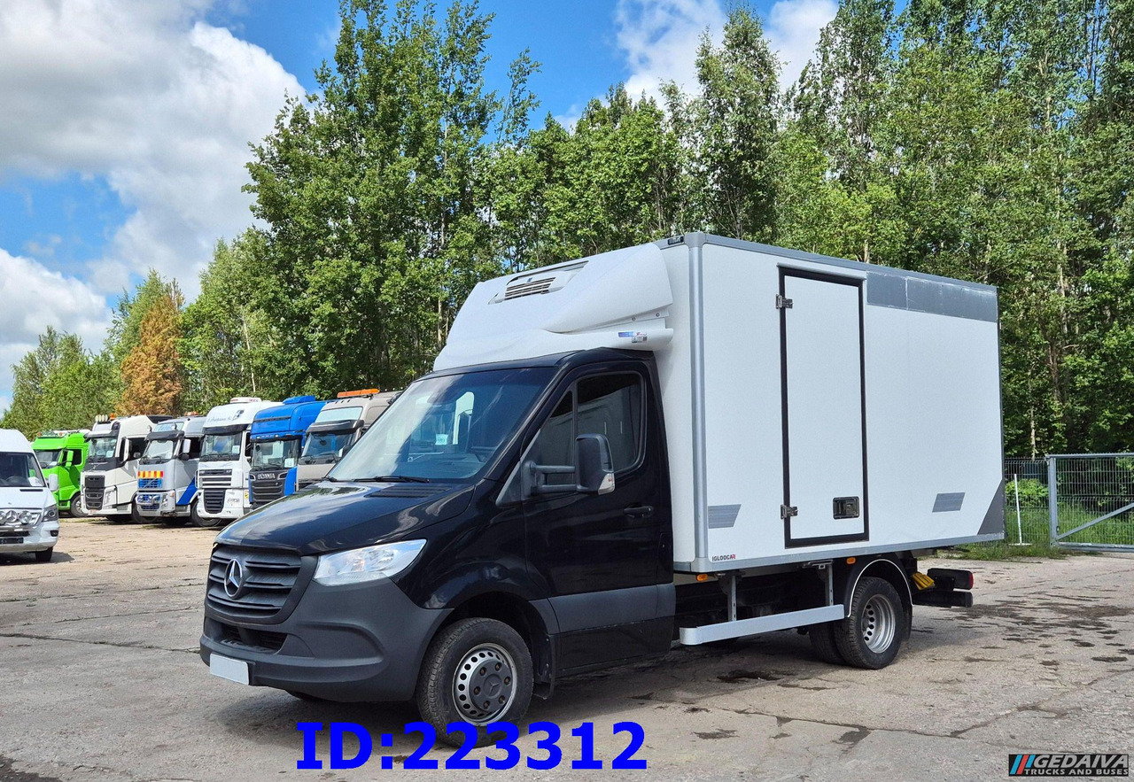 MERCEDES-BENZ Sprinter 516 + Thermo King V-200 MAX - Kühltransporter: das Bild 1 MERCEDES-BENZ Sprinter 516 + Thermo King V-200 MAX - Kühltransporter: das Bild 1