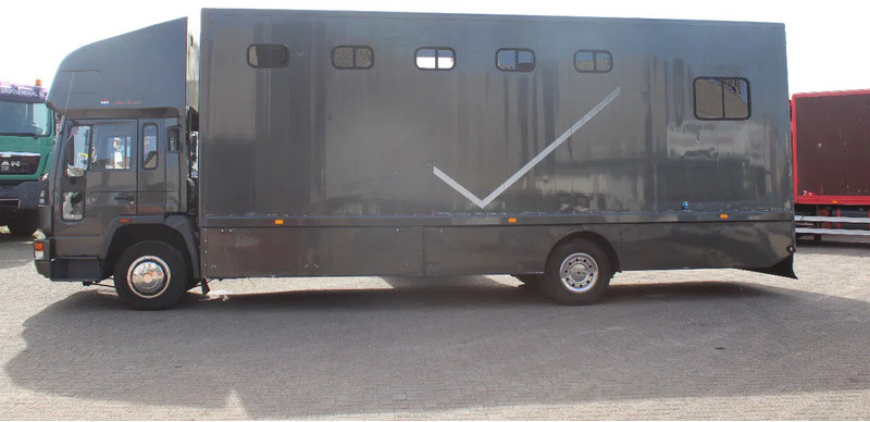 Volvo FL 614 + MANUAL + EURO 0 - Pferdetransporter: das Bild 5 Volvo FL 614 + MANUAL + EURO 0 - Pferdetransporter: das Bild 5