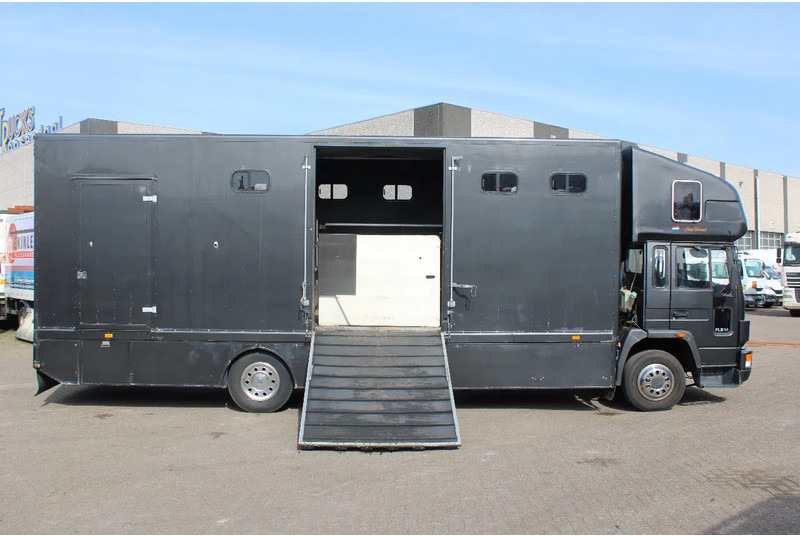 Volvo FL 614 + MANUAL + EURO 0 - Pferdetransporter: das Bild 2 Volvo FL 614 + MANUAL + EURO 0 - Pferdetransporter: das Bild 2