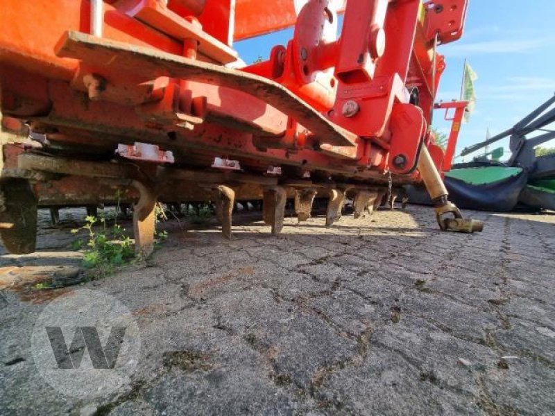 Maschio DM Classic 3000 - Kreiselegge: das Bild 4 Maschio DM Classic 3000 - Kreiselegge: das Bild 4