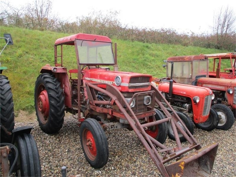 Massey Ferguson 165 Med Ålø læsser med greb. - Traktor: das Bild 2 Massey Ferguson 165 Med Ålø læsser med greb. - Traktor: das Bild 2