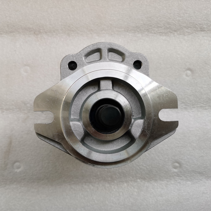 QINGDAO PROMISING Hydraulic Pump CBWA-F318-AT4Φ9 - Hydraulikpumpe für Radlader: das Bild 3 QINGDAO PROMISING Hydraulic Pump CBWA-F318-AT4Φ9 - Hydraulikpumpe für Radlader: das Bild 3