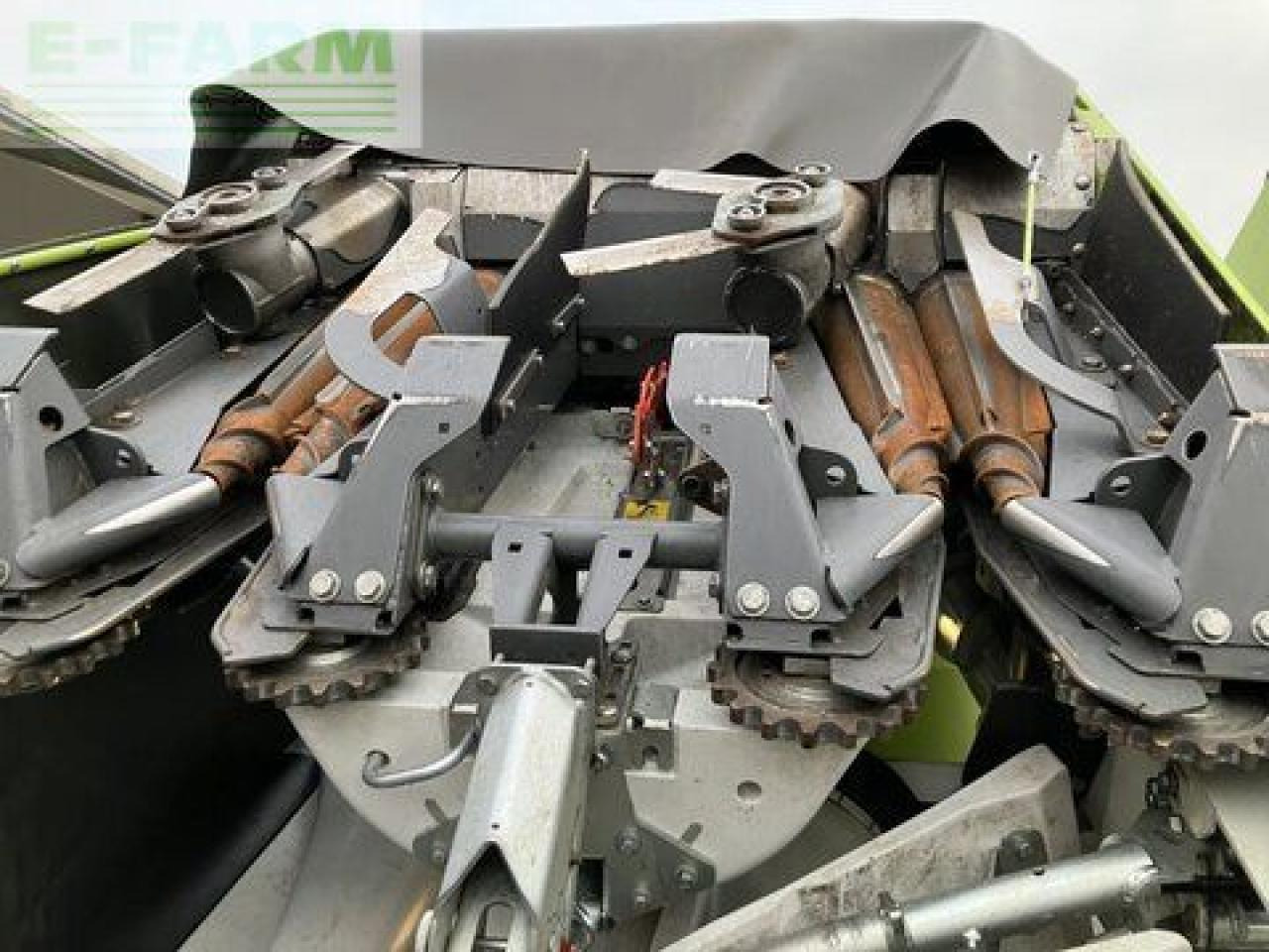 Ernteforsatz für Häcksler CLAAS corio 870 fc conspeed: das Bild 12