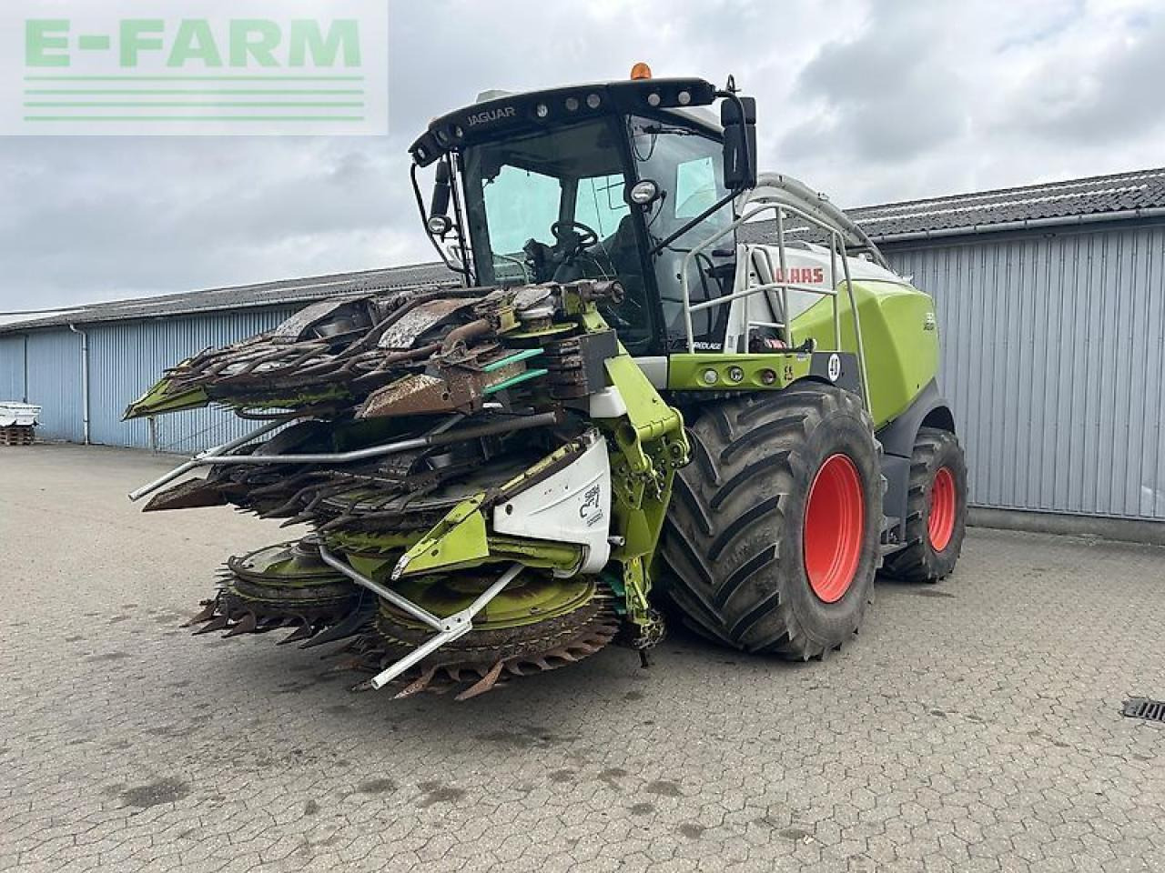 Feldhäcksler CLAAS jaguar 950: das Bild 13