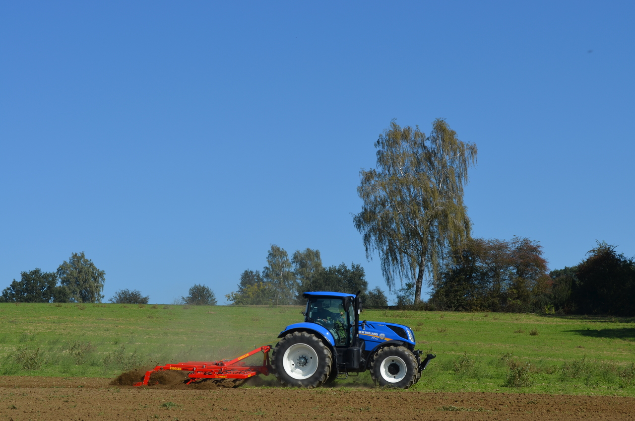 NEU: Grubber Ziegler Field Profi: das Bild 16