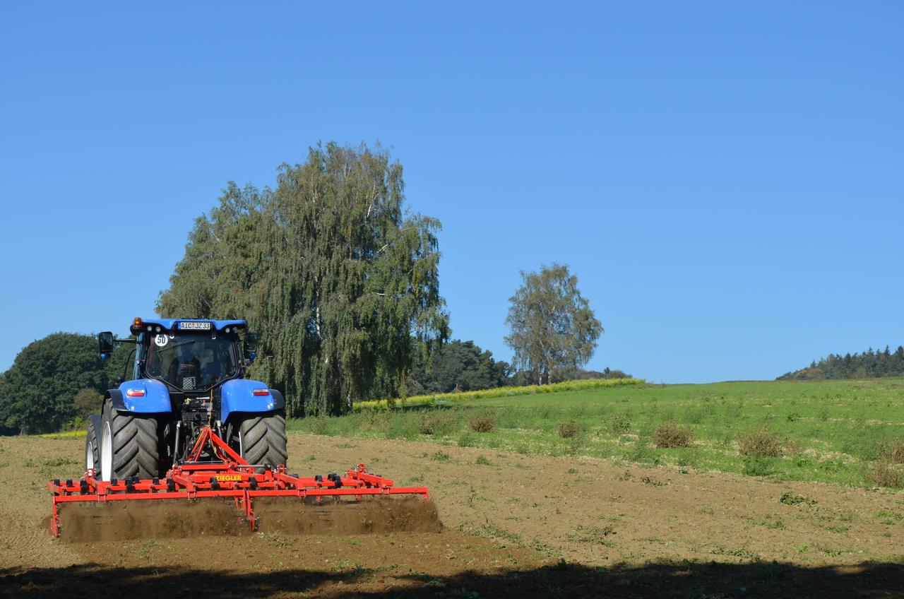 NEU: Grubber Ziegler Field Profi: das Bild 19