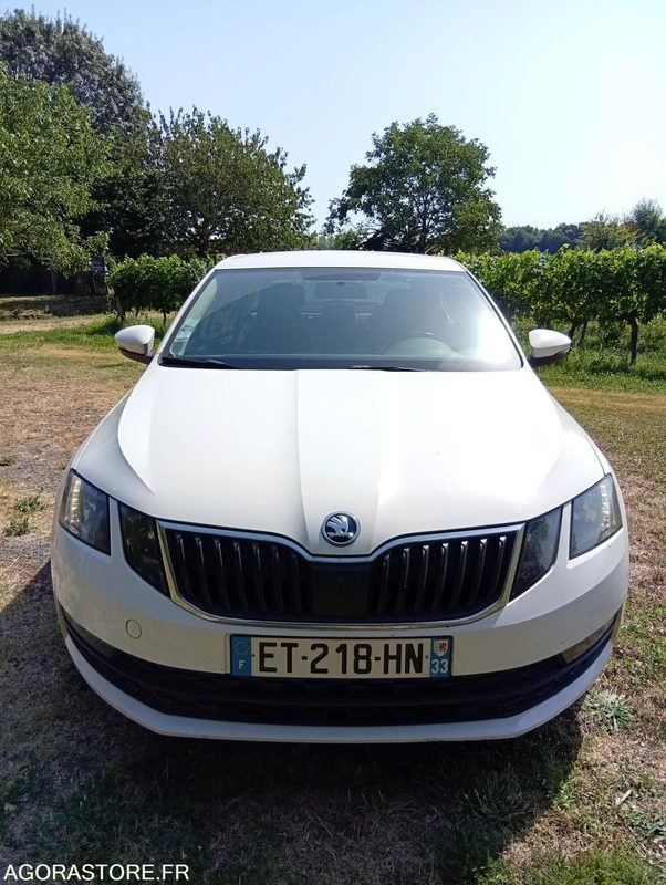 ET-218-HN - Roulant - SKODA OCTAVIA - VP - 325 131 Kms - PKW: das Bild 3 ET-218-HN - Roulant - SKODA OCTAVIA - VP - 325 131 Kms - PKW: das Bild 3